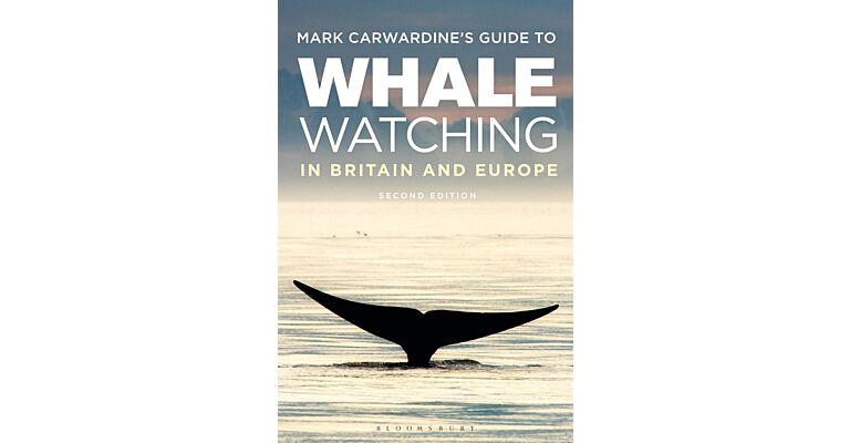 Mark Carwardine's Guide To Whale Watching In Britain And Europe