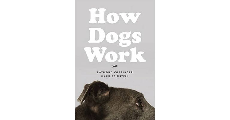How Dogs Work