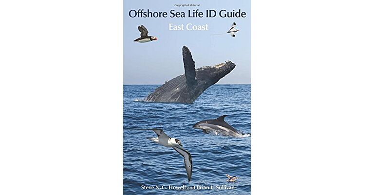 Offshore Sea Life ID Guide: East Coast (Princeton Field Guides)