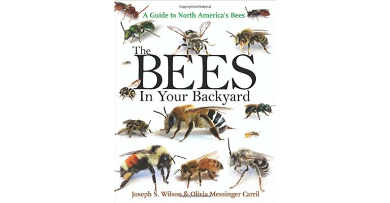 The Bees in Your Backyard - A Guide to North America's Bees