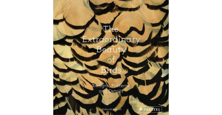 The Extraordinary Beauty of  Birds - Designs, Patterns and Details