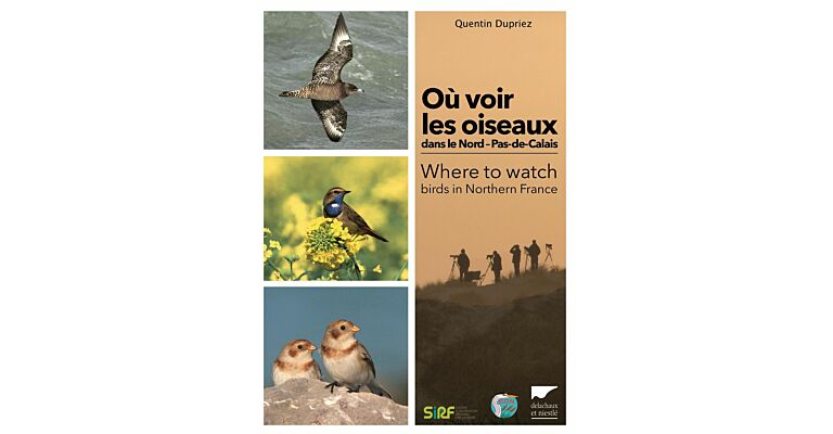 Où voir les oiseaux dans le Nord – Pas-de-Calais / Where to watch birds in Northern France