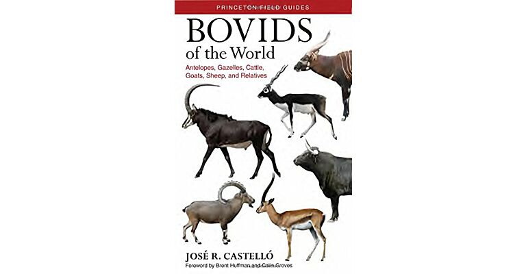 Bovids of the World : Antilopes, Gazelles, Cattle, Goats, Sheep, and Relatives