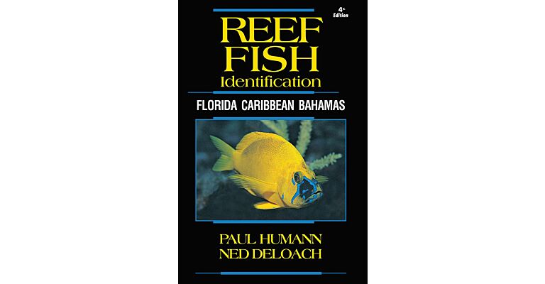 Reef Fish Identification - Florida Caribbean Bahamas
