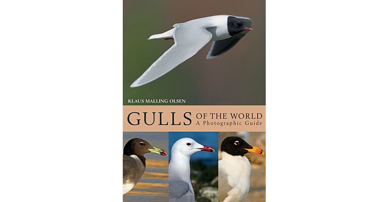 Gulls of the World -  A Photographic Guide