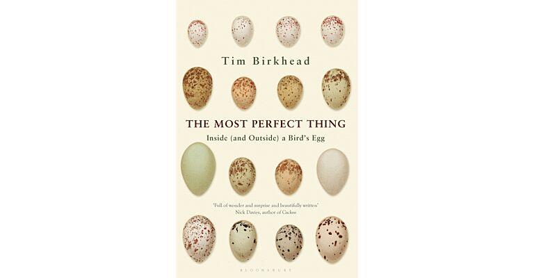The Most Perfect Thing - Inside (and Outside) a Bird’s Egg