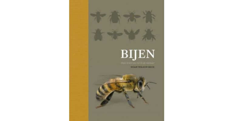 Bijen - Hun Leven en Rol in de Natuur