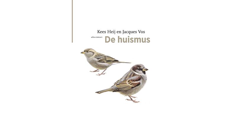 De Huismus