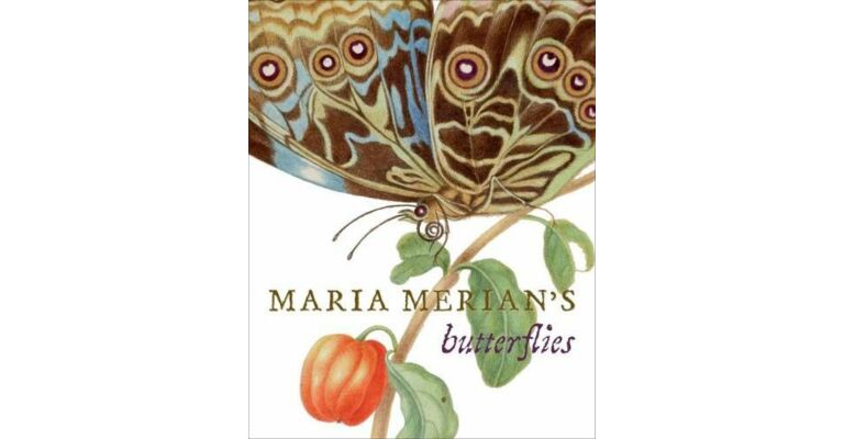 Maria Merian's Butterflies