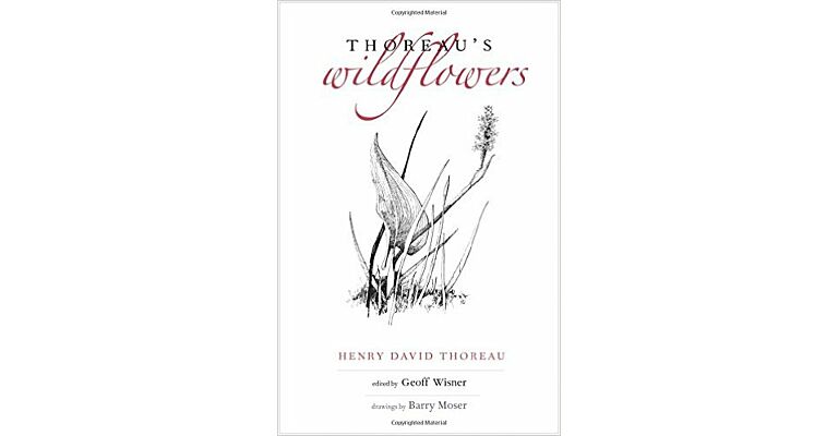 Thoreau's Wildflowers