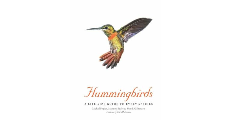 Hummingbirds - A Life-Size Guide to Every Species (PBK )