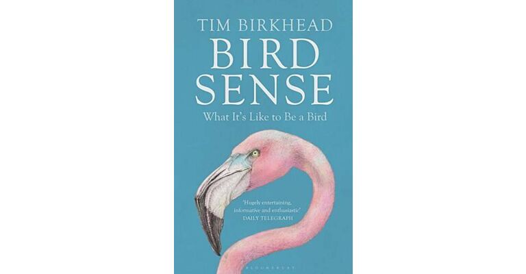 Bird Sense - What It's Like to Be a Bird (PBK)