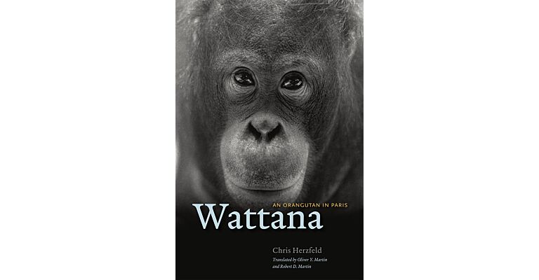 Wattana : An Orangutan in Paris