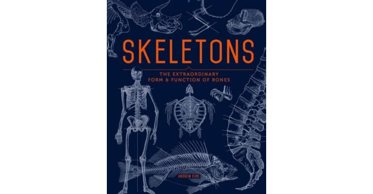 Skeletons: The Extraordinary Form and Function of Bones