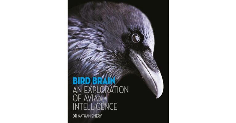 Bird Brain - An Exploration of Avian Intelligence