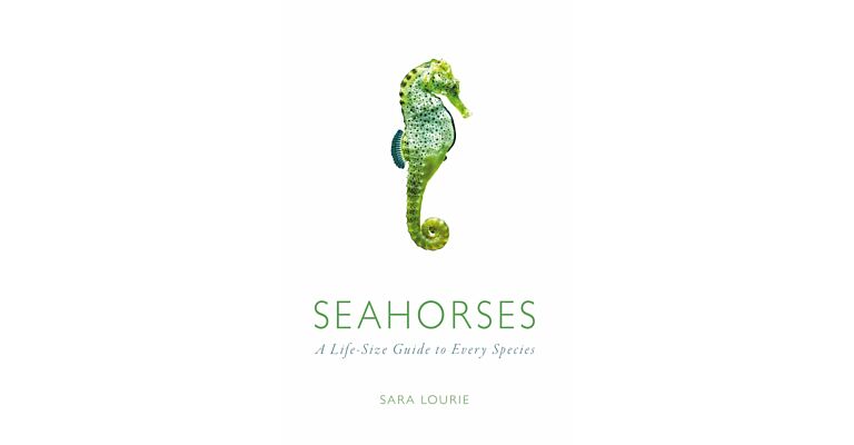Seahorses - A Life-Size Guide to Every Species