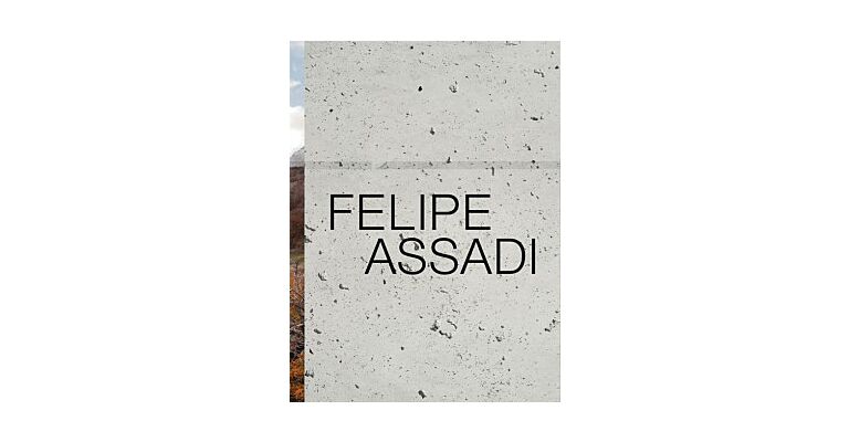Felipe Assadi