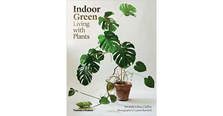 Indoor Green Living with Plants