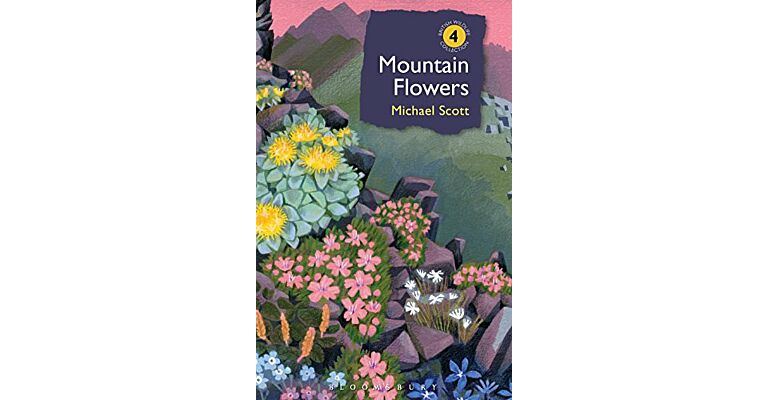 Mountain Flowers