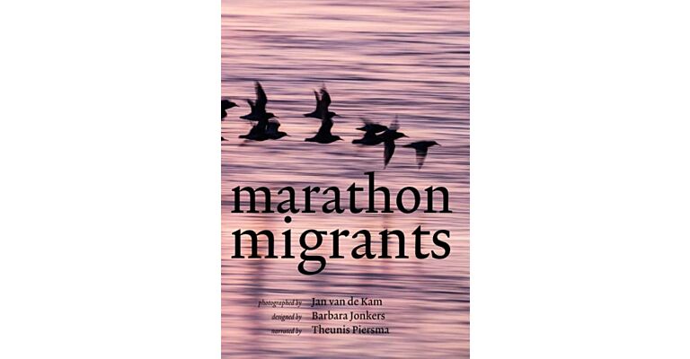 Marathon migrants