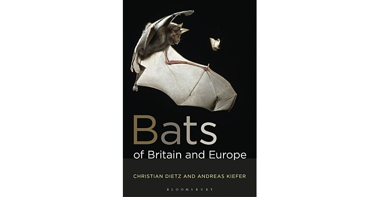 Bats of Britain and Europe (PBK)