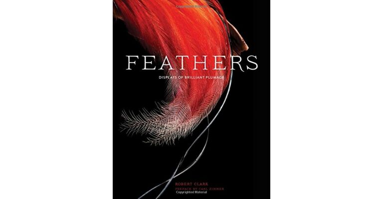 Feathers - Displays of Briliant Plumage