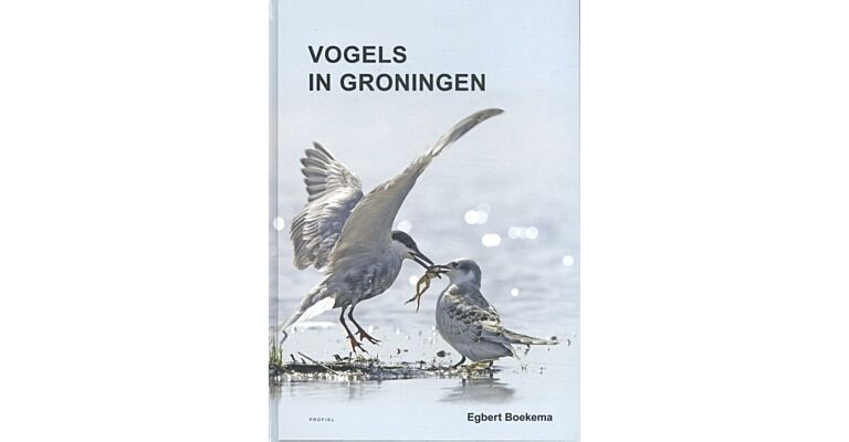Vogels in Groningen