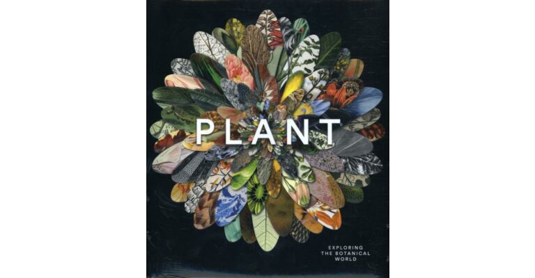 Plant: Exploring the Botanical World