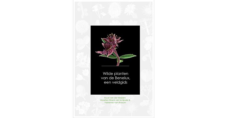 Wilde planten van de Benelux - Een Veldgids