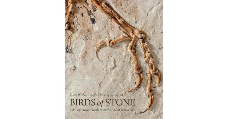 Birds of Stone - Chinese Avian Fossils from the Age of Dinosaurs