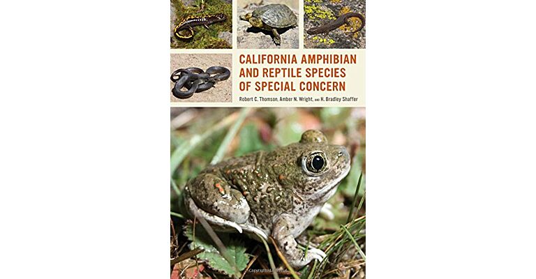 California Amphibian and Reptile Species of Special Concern