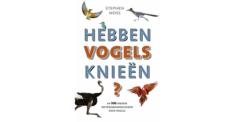 Hebben Vogels Knieën?