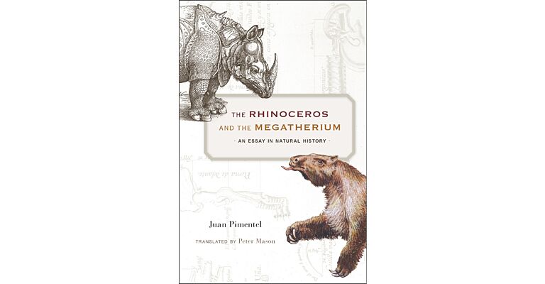 The Rhinoceros and the Megatherium - An Essay in Natural History