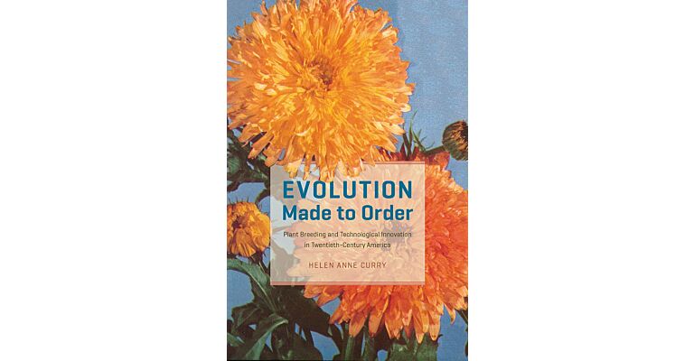 Evolution Made to Order - Plant Breeding and Technological Innovation in Twentieth-Century America