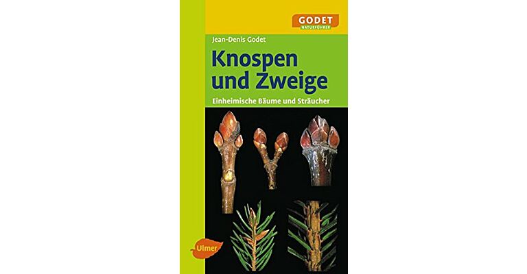 Knospen und Zweige - Einheimische Bäume und Sträucher