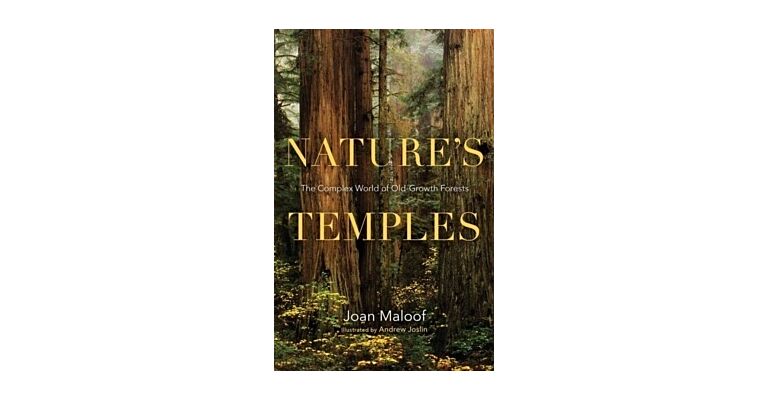 Nature's Temples - The Complex World of Old-Growth Forests