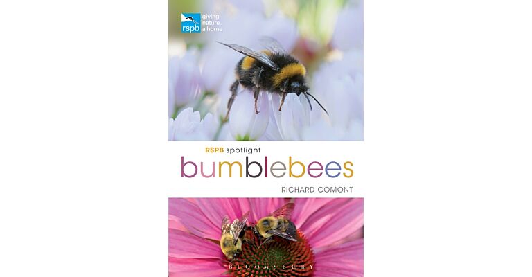 RSPB Spotlight - Bumblebees