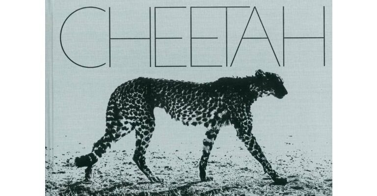 Mark Segal - Cheetah