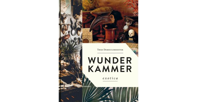 Wunderkammer - Exotica