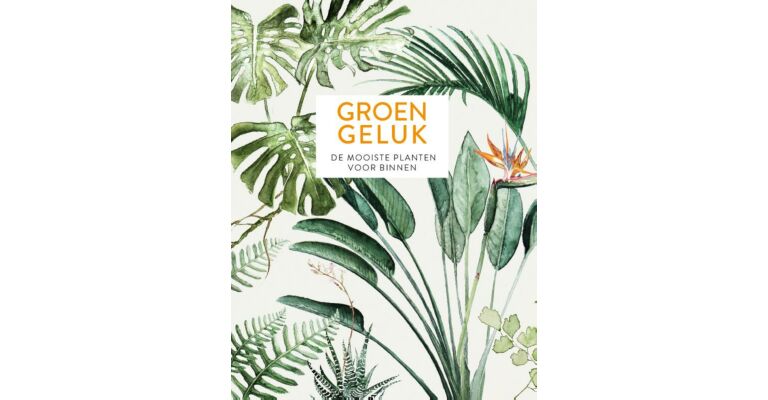 Groen Geluk - De Mooiste Kamerplanten voor Binnen