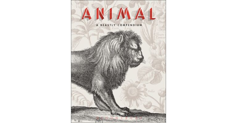 Animal: A Beastly Compendium