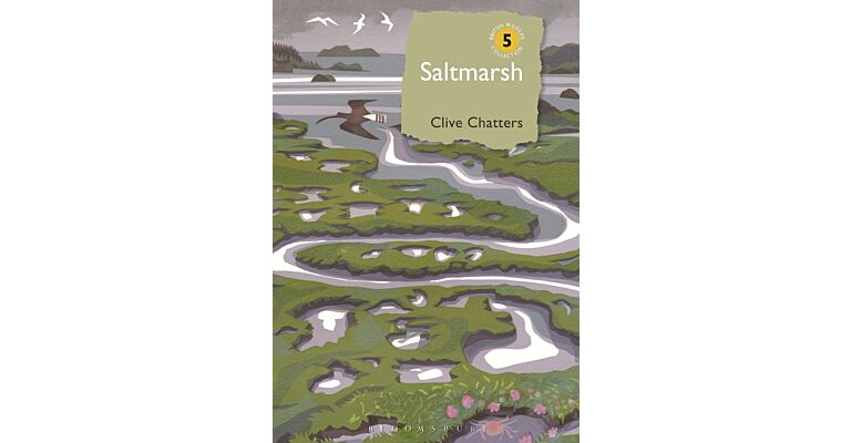 Saltmarsh (hardcover)
