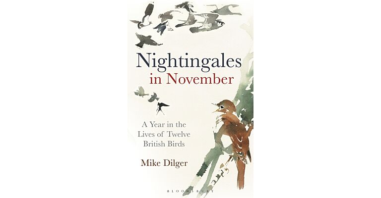 Nightingales in November - A Year in the Life of Twelve British Birds (PBK )