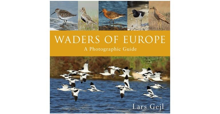 Waders of Europe
