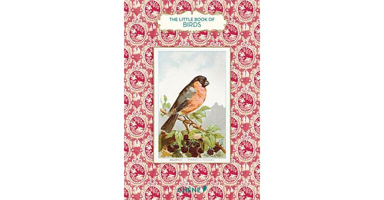 The Little Book of Birds