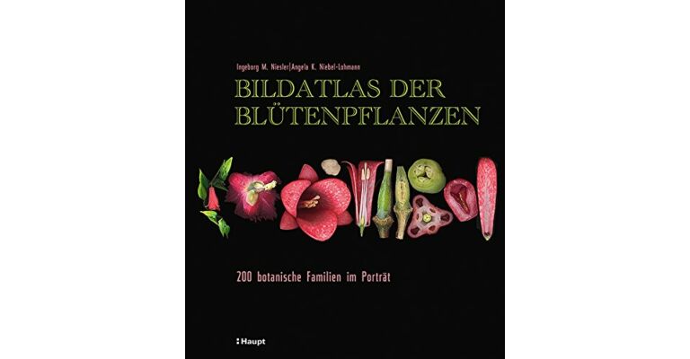 Bildatlas der Blütenpflanzen - 200 botanische Familien im Porträt