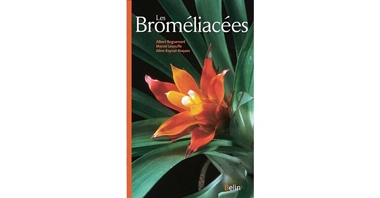 Les Broméliacées