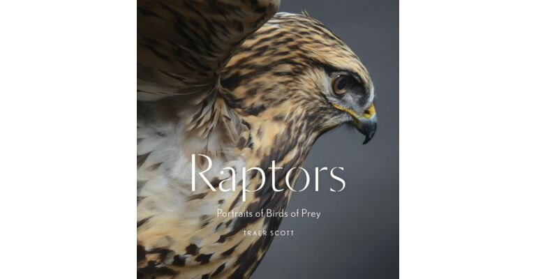 Raptors - Portraits of Birds of Prey