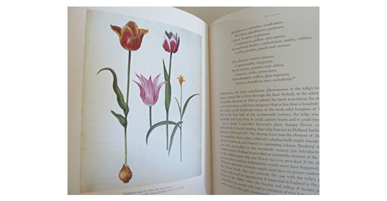 The Tulip (Specially bound limited edition of 750 copies)
