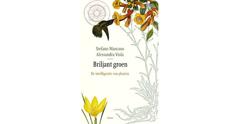 Briljant groen : De intelligentie van planten